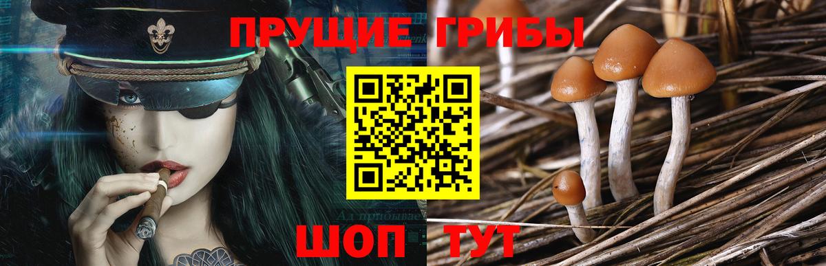 Видное  Псилоцибиновые грибы мухоморы  Вход с VPN 